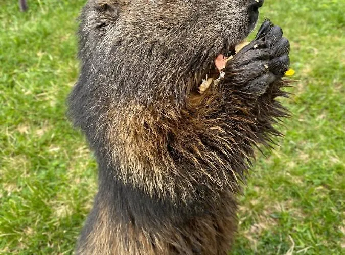 Moderne Kaminstube Апартаменты Рамзау