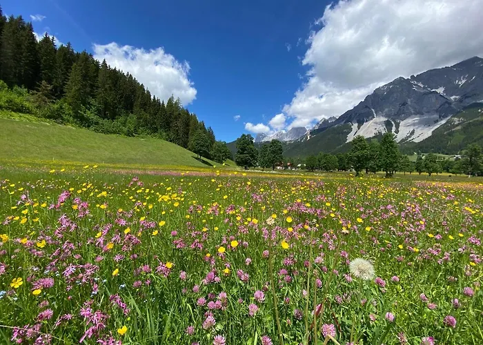 Апартаменты Moderne Kaminstube